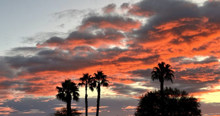 December 2025 Meal Plan